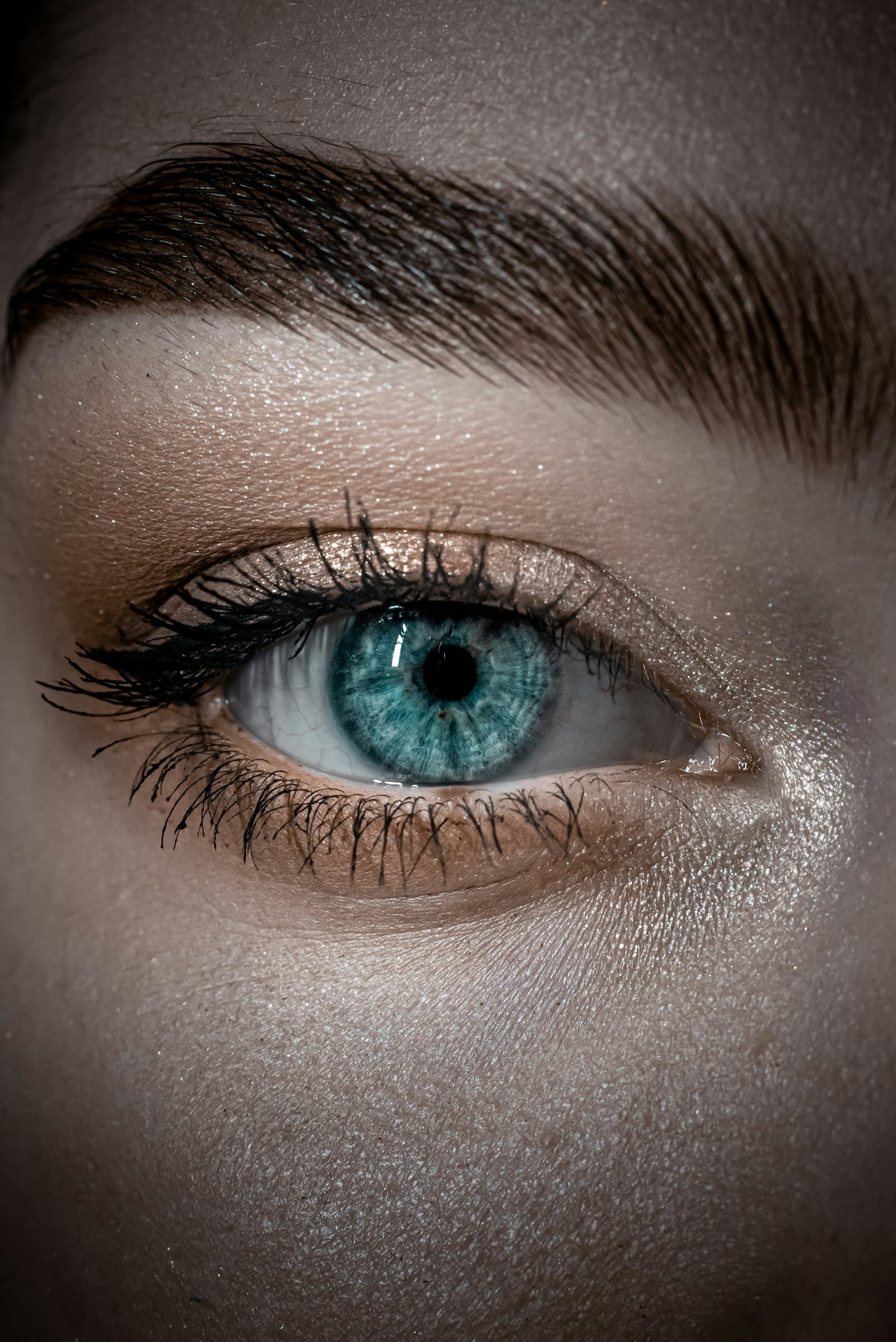 Diseño de cejas de precisión